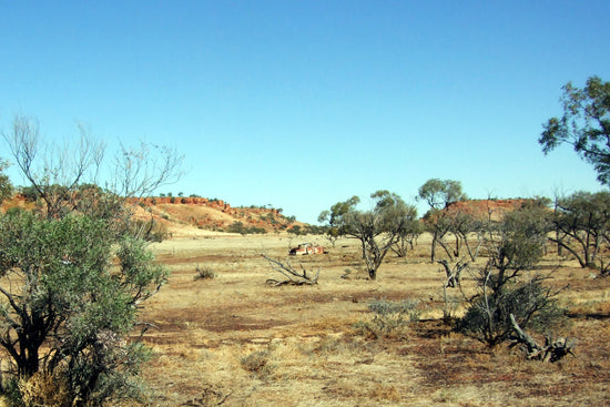 Echte Opale aus Australien